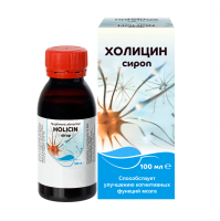 HOLICIN sirop 100 mL - 2